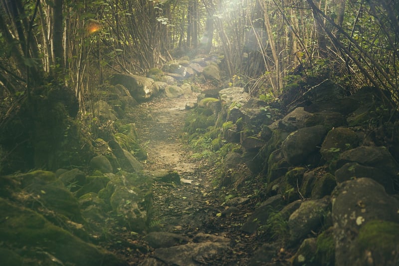 Nature Scavenger Hunt